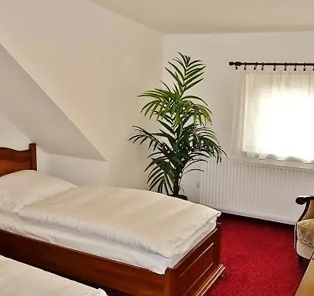 Golden Golem Hotel Praag